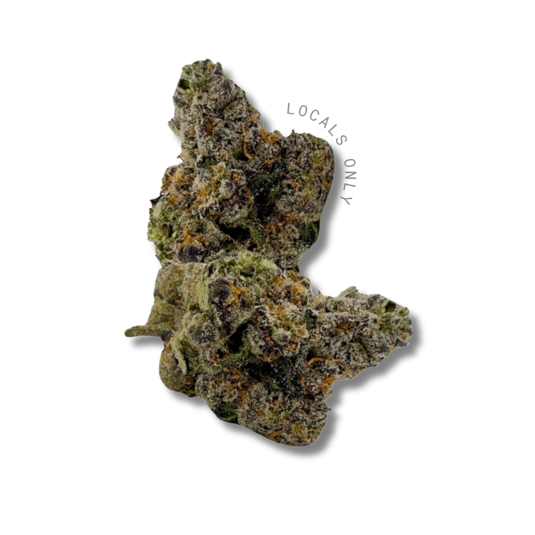 *NYC ONLY* PURPLE GLUE [Indica-Hybrid, ~24%] *NYC ONLY*