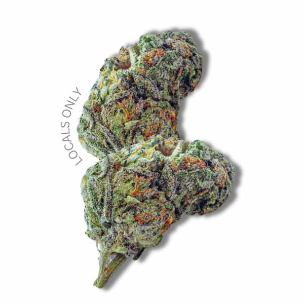 SANGRIA [Indica-Hybrid, ~26% THC]