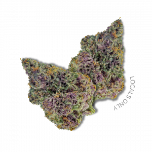 COOKIE KUSH [Indica-Hybrid, ~22% THC]