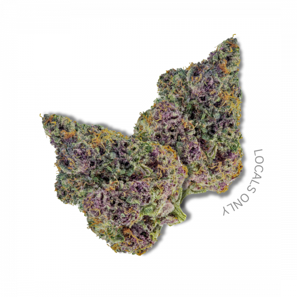 COOKIE KUSH [Indica-Hybrid, ~22% THC]