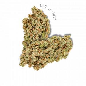 GUMDROP HAZE [Sativa-Hybrid, ~27% THC]