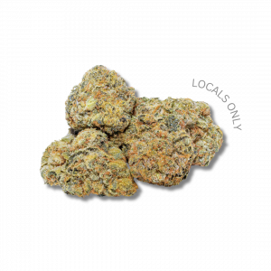 GHOST OG [Indica-Hybrid, ~24% THC]
