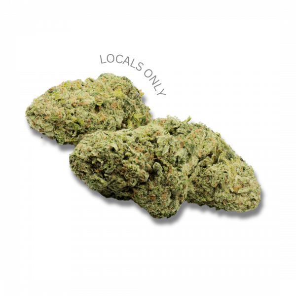 FRUIT LOOPS [Sativa-Hybrid, ~20% THC]
