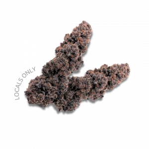 GELONADE [Sativa-Hybrid, ~23% THC]