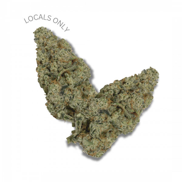 MODIFIED GRAPES [Indica-Hybrid, ~24% THC]
