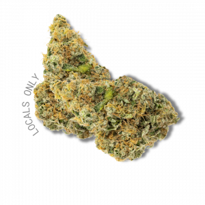 WHITEOUT [Hybrid, ~22% THC]