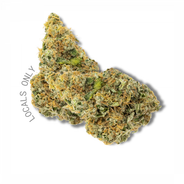 WHITEOUT [Hybrid, ~22% THC]
