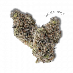 OCD [Sativa, ~25% THC]
