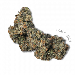 COOKIE HAZE [Indica-Hybrid, ~26% THC]