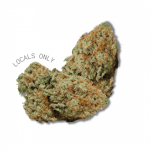 TRAINWRECK #2  [Sativa-Hybrid, ~20% THC]