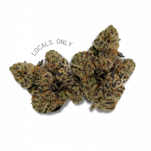 BISCOTTI PANCAKES [Sativa-Hybrid, ~30% THC]