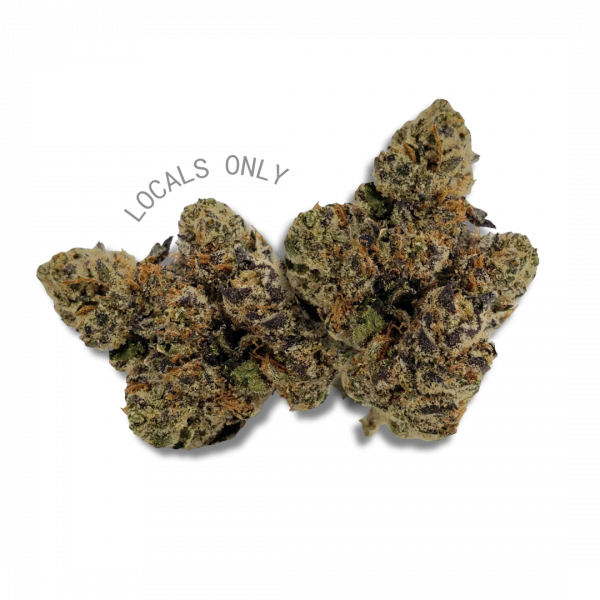 BISCOTTI PANCAKES [Sativa-Hybrid, ~30% THC]