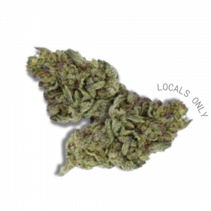 PINK PUNCH  [Hybrid, ~22% THC]