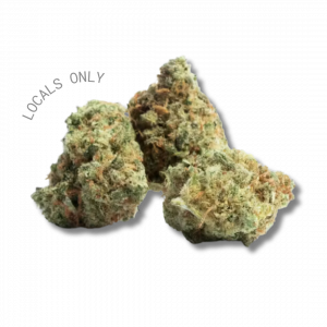 PINK RUNTZ [Hybrid, ~25% THC]
