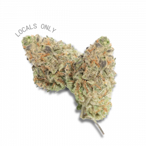 WHITE RABBIT [Indica-Hybrid, ~24% THC]
