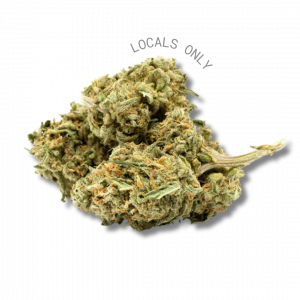 GUMBO [Indica, ~22% THC]
