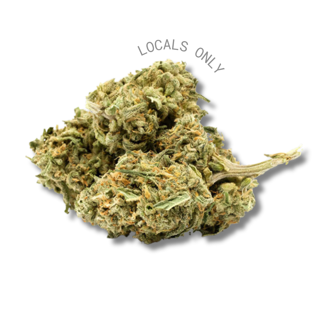 GUMBO [Indica, ~22% THC]