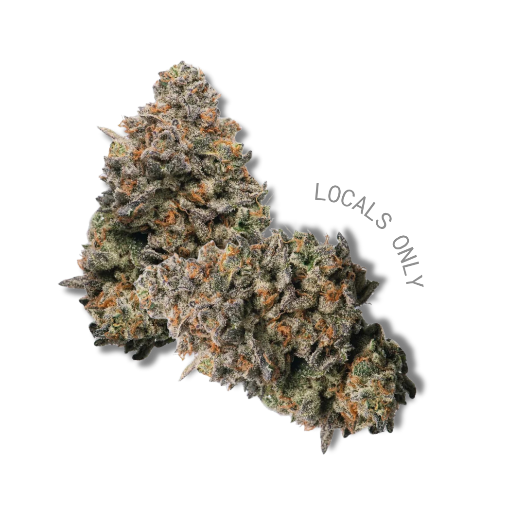 PURPLE TANGIE [SATIVA-Hybrid, ~24% THC]