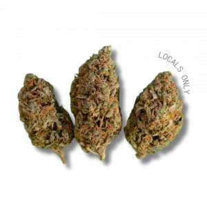 HI-OCTANE [Hybrid, ~22% THC]