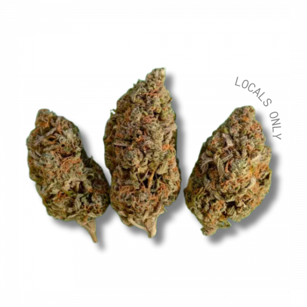HI-OCTANE [Hybrid, ~22% THC]