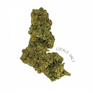BLACKBERRY GELATO [Hybrid, ~24% THC]