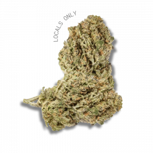 HARLEQUIN [Sativa-Hybrid, ~20% THC]