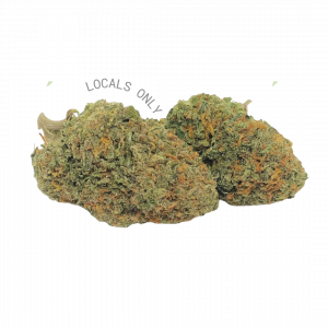 CRITICAL MASS [Indica-Hybrid, 25% THC]