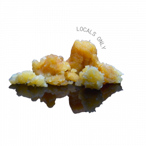 SUGAR BUDDER
