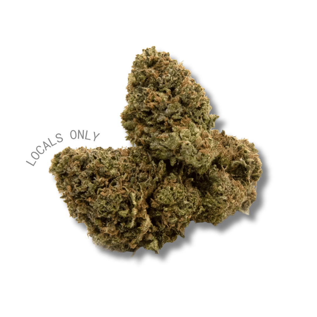 CHERRY TART [Hybrid, ~21% THC]