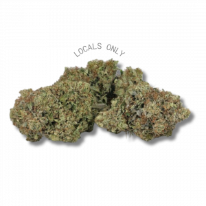 NIGHT WALKER [Hybrid, ~24% THC]