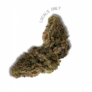 JET FUEL [Sativa-Hybrid, ~29% THC]