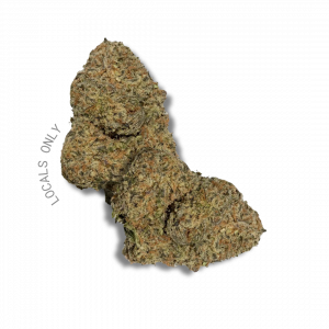 GASMASK [Indica-Hybrid, ~22% THC]