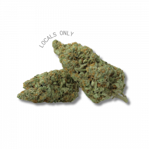 SOUR BLACKBERRY [Sativa-Hybrid, ~28% THC]