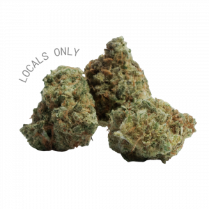 CAPTAIN JACK [Hybrid, ~28% THC]