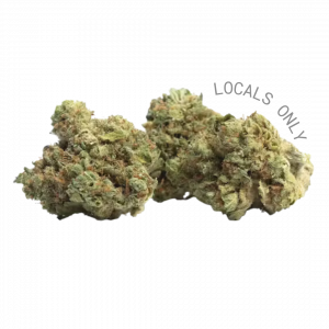 GHOST FACE [Hybrid, ~25% THC]