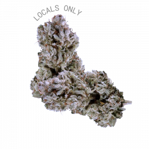 GRANDADDY GLUE [Indica-Hybrid, ~24% THC]