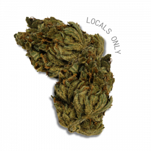 CRITICAL MASS [Indica-Hybrid, 23% THC]