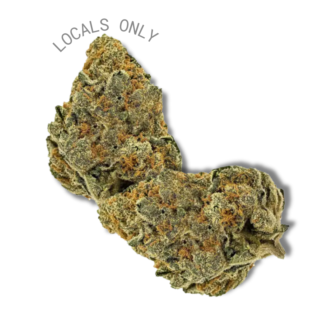 WATERMELON RUNTZ [Indica-Hybrid, ~ 31% THC]