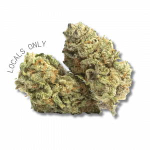 PALOMA [Sativa-Hybrid, ~26% THC]