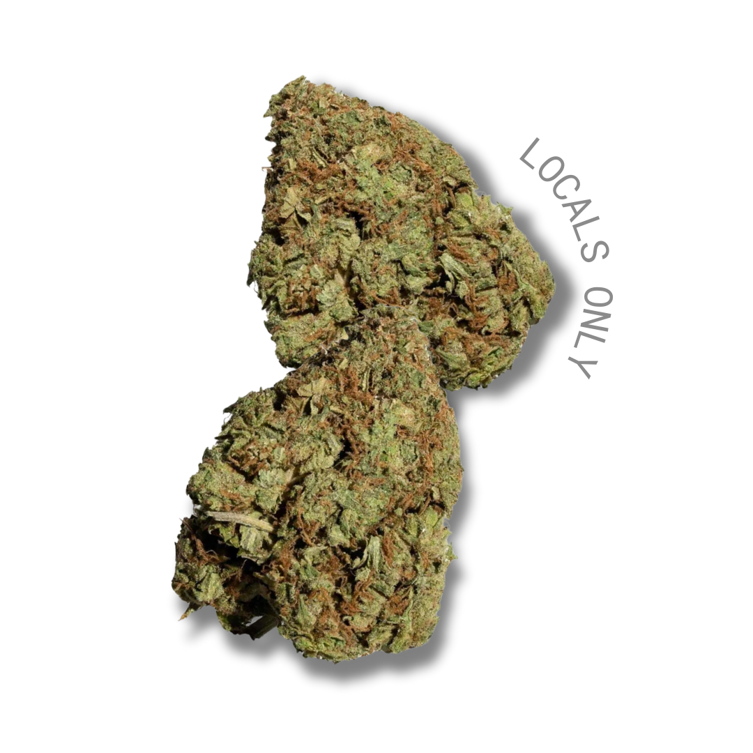 PURPLE RUNTZ [Hybrid, 22% THC]