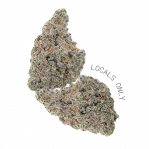 LEMON CHERRY GUAVA [Hybrid, ~ 36% THC]