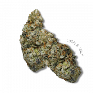 OG WHITE WIDOW [Sativa-Hybrid, ~ 24% THC]