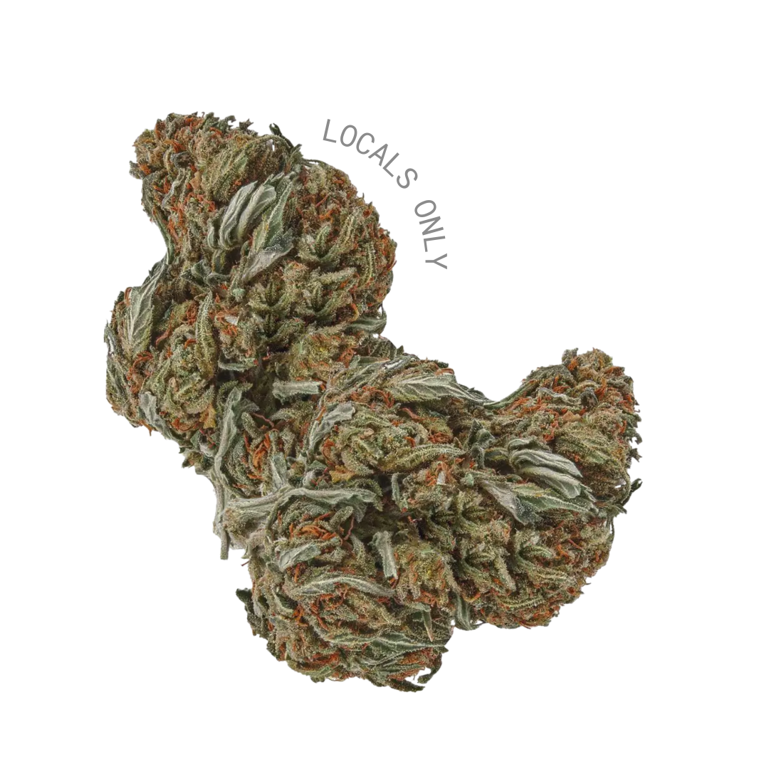 BUBBA #5 [Hybrid, 23% THC]