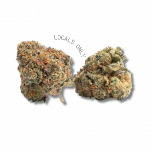 BEN & CHERRIES [Indica-Hybrid, ~ 21% THC]