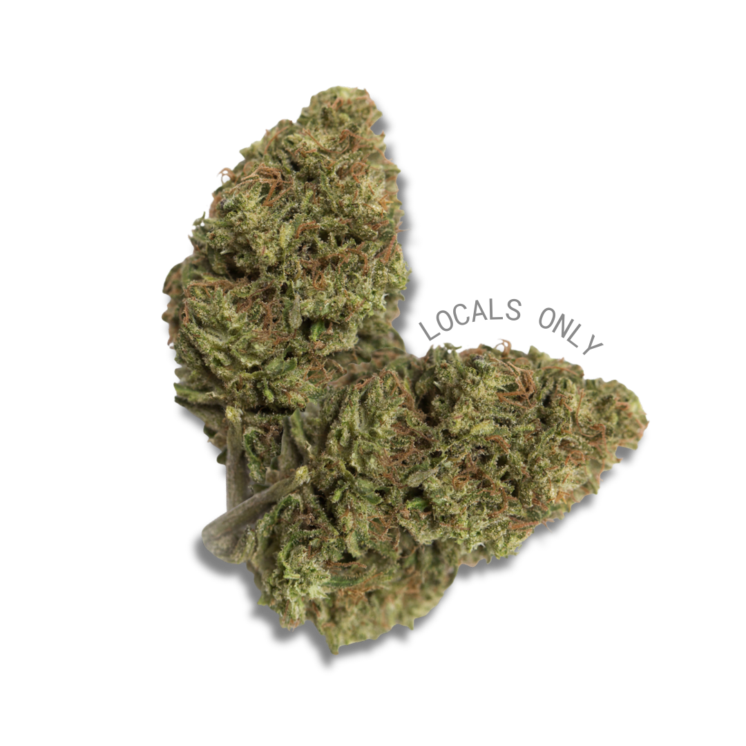 LEMON DROP [Sativa-Hybrid, ~ 20% THC]