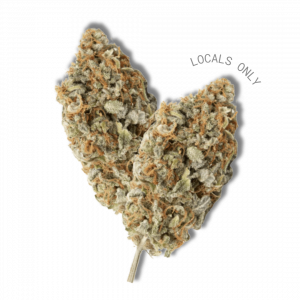 SODA PUNCH [Sativa-Hybrid, ~ 21% THC]