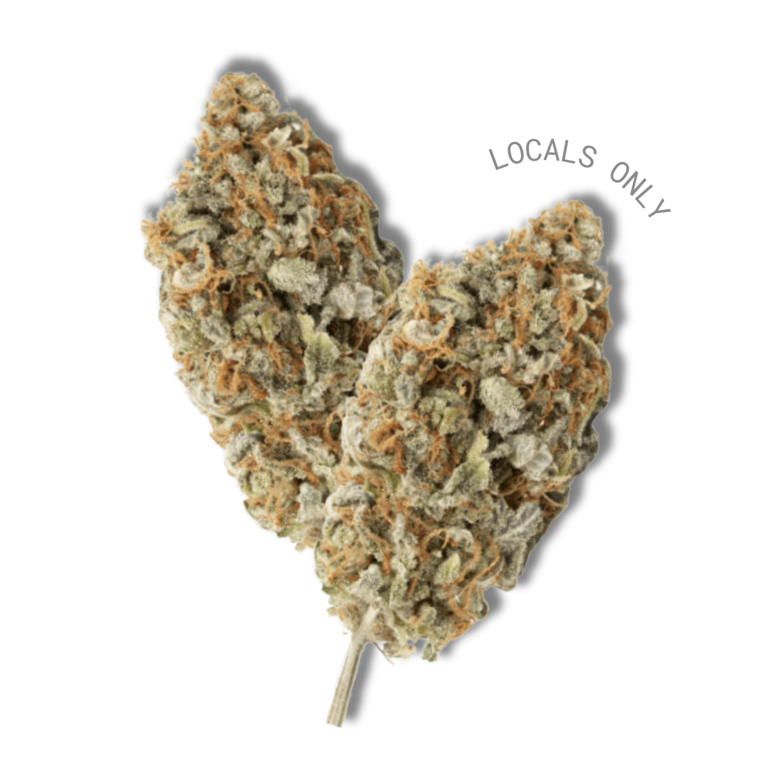 SODA PUNCH [Sativa-Hybrid, ~ 21% THC] (Copy)