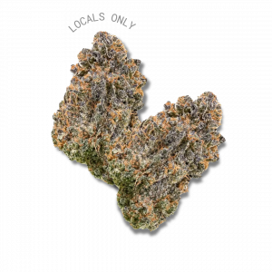 MOCHILATO [Indica-Hybrid, ~ 27% THC]