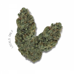 WHITE GUMMIEZ [Hybrid, ~ 23% THC]