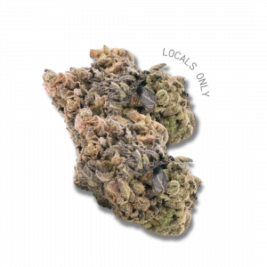 GRAPE SODA [Indica-Hybrid, ~ 22% THC]